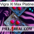 Vigra Xl Max Platinum 14